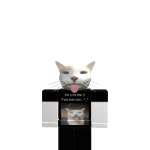 @Jnnix0_0