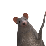 @R0BYNSV1BES