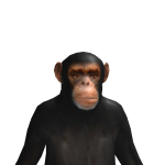 @MaskedMan222333