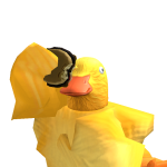 @z_squirtle