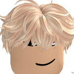 @robloxspeeder23