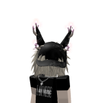 @krrwoii