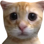 @MarioSam11