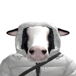 @BramLars07
