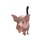 @maikltoszemaikl