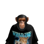 @Brockzillaman