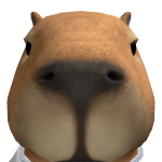 MiguelLBF79