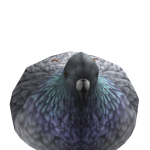 @Roblox_mancz123