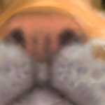 @yoolok15