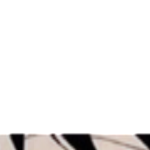 @AnimeFryd