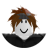 Headshot of roblox_user_799994411