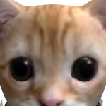@Diegohann17