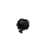 Lenoxius