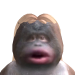 @moflo10
