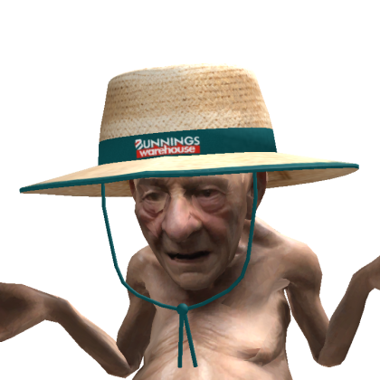 Roblox avatar