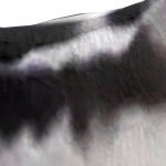 @roblox_user_4614930571