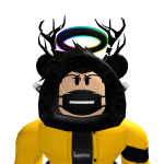 @bloxeerbee