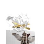 @ilove_cats8492
