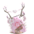 01_iiSantxs