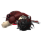 whitephonit