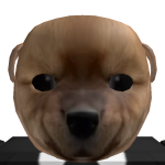krecik01221
