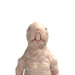 @maxfire0realOMG