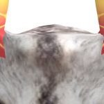 @henry1499