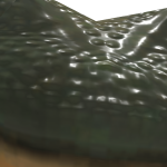 @cougarcat9999