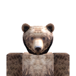 @bearbearbear222