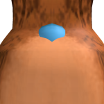 @LenP2009