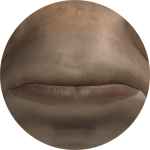 AadiIsBuns