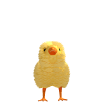 @0kayyxPayt0n