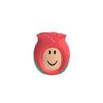 @lillebrorsan6