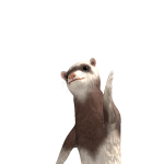 @CCMinecrafter1