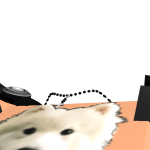 @bagelrat123