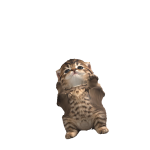 @14kBxndit