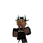 @FleXisback