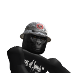 @projectzorgo42114