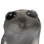 @ANG3LSAPHHI2E