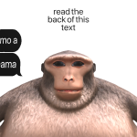 @teym12