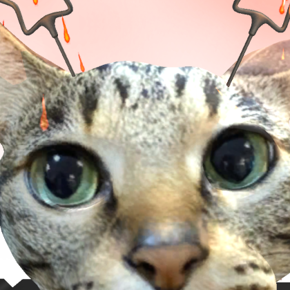 melondotcat
