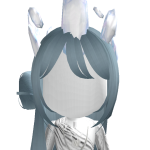@leisaru