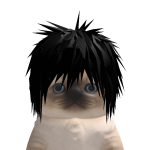 @MeGud_Boi