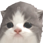 @rainb0wst4r