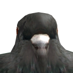 @Snac_S77