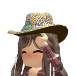 @ddvqt