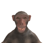 @dudemiser