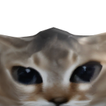 @Jrswhatsup