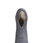 @MILOSZXDXDXDXDXDXD