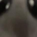 @SnftzMessages